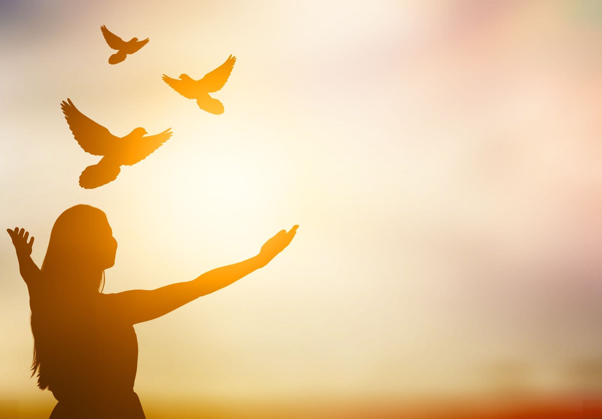 Inner Harmony and Holistic Living: A Journey with Vedaashram Foundation